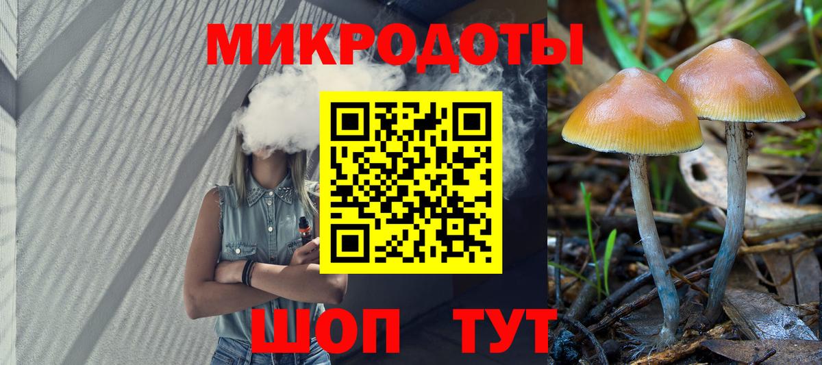 Псилоцибиновые грибы Cubensis  Вход с VPN  Карачаевск 